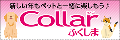 画像リンク1